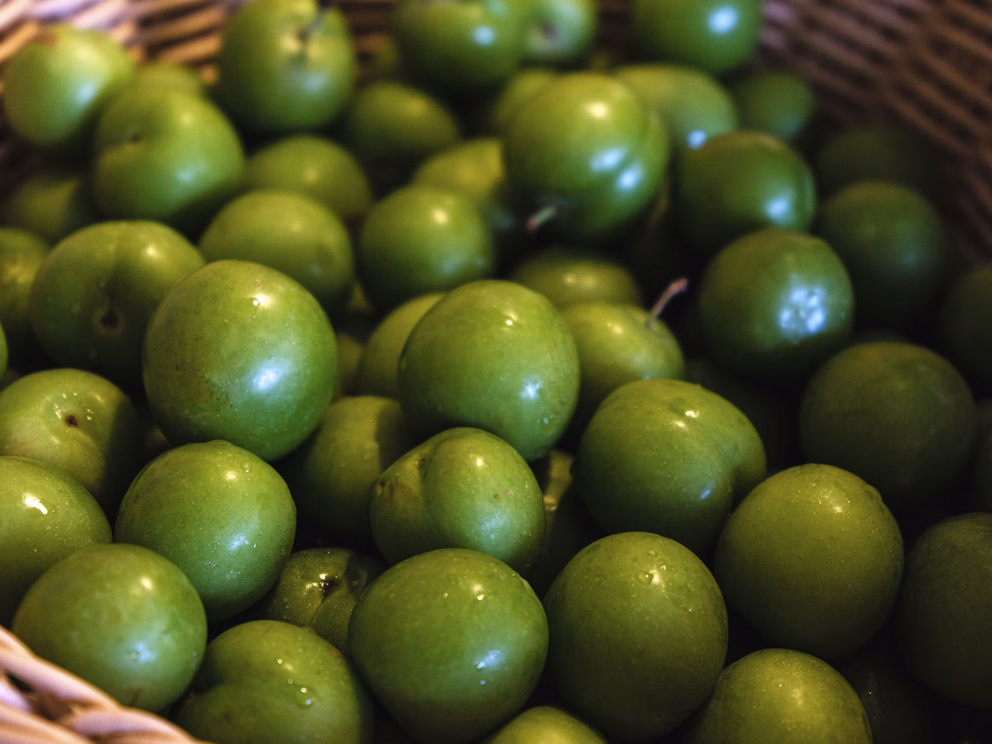 Exploring the World of Gastronomy: The Evolution and Impact of Restaurants on Modern Life